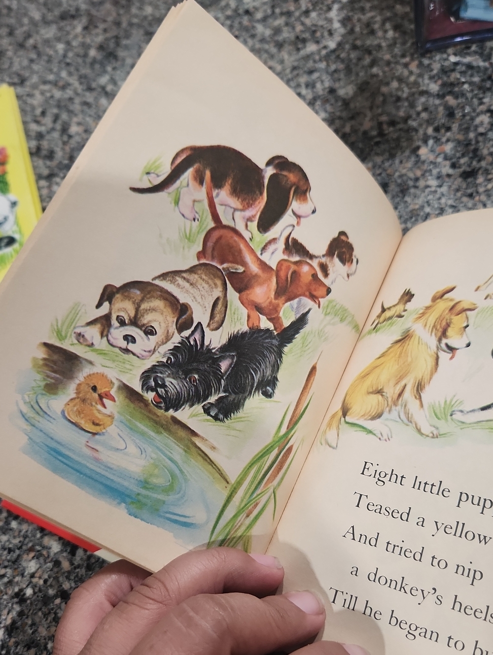 Vintage Count the Puppies  Children's Book - Picture 5 of 6